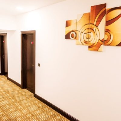 Hol-Hotel-Bucovina-2